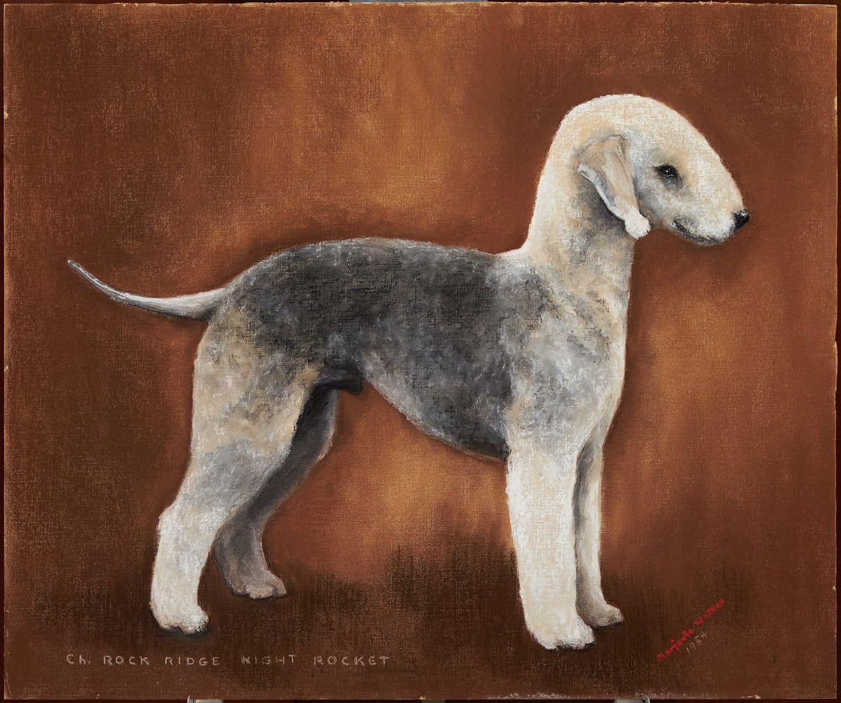 Portrait of a Dual Morris & Essex Winner